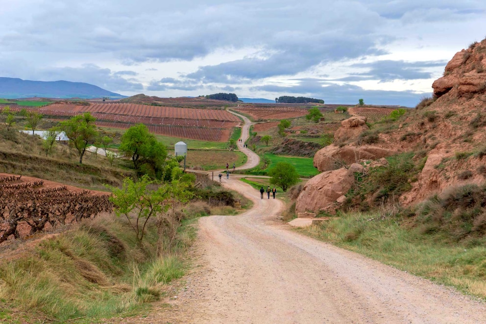 Jakobsweg Camino Frances