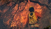 Hier kämpft ein  Feuerwehrmann gegen die Feuerwalze