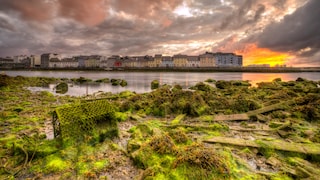 Galway