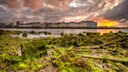 Galway