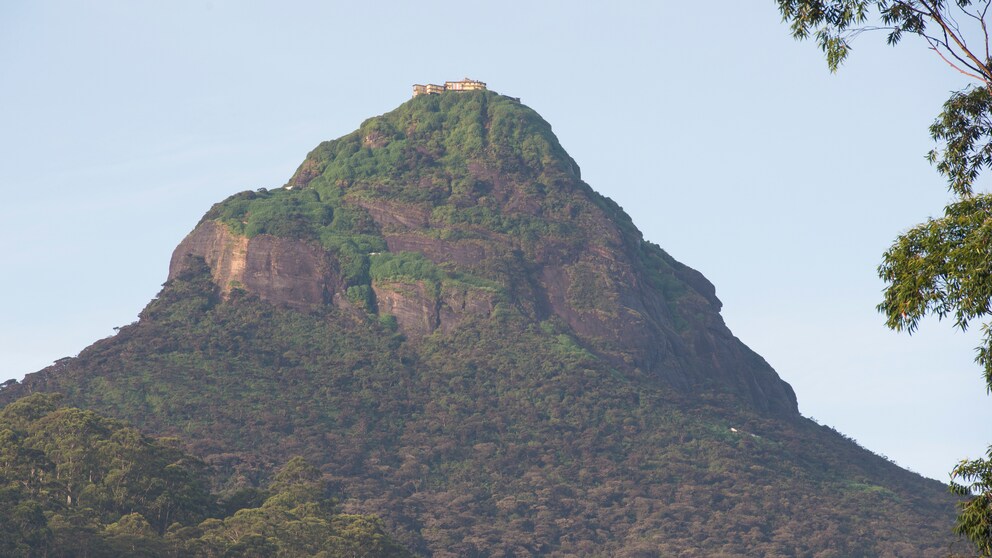 Der Adam's Peak auf Sri Lanka