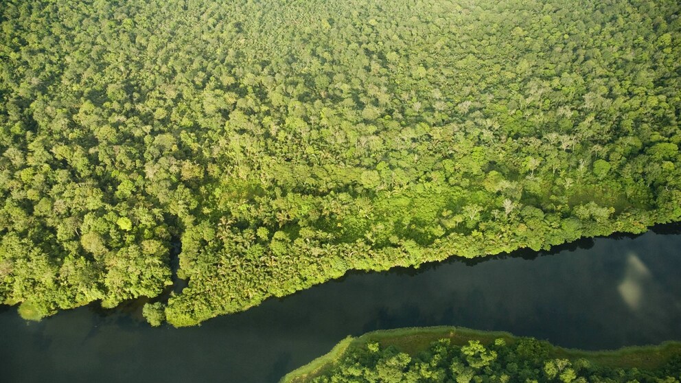 River in Tortuguero
