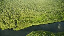 River in Tortuguero