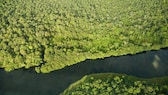 River in Tortuguero