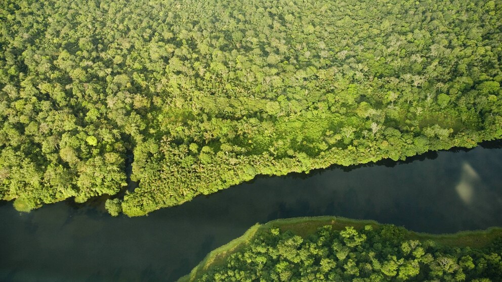 River in Tortuguero