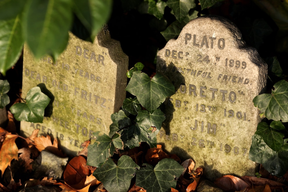 Grabstein Tierfriedhof Hyde Park