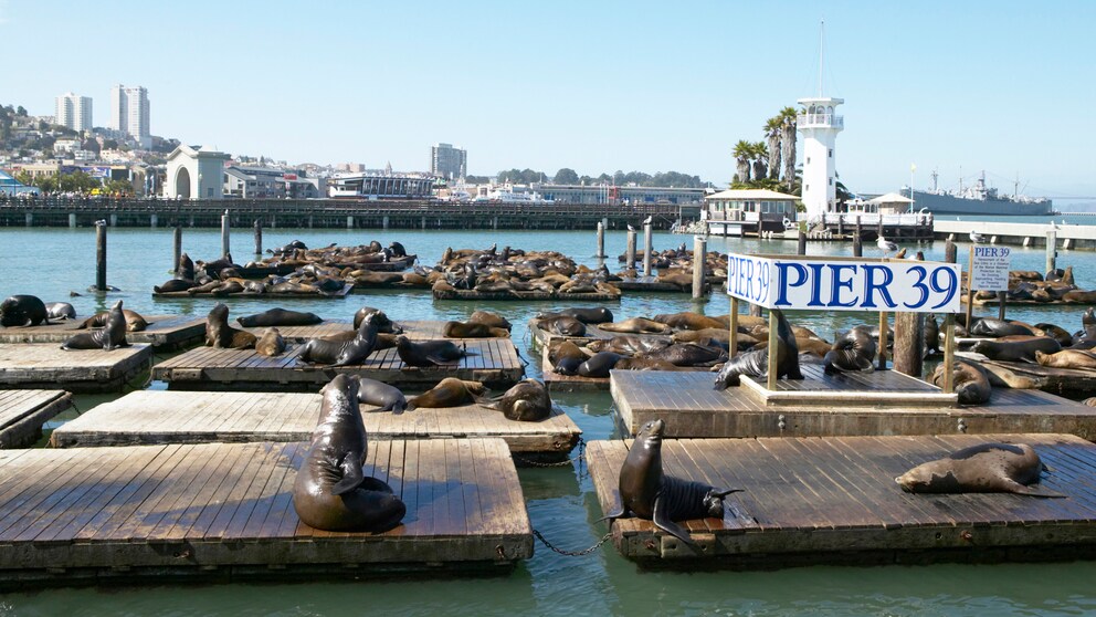 Das weltberühmte Pier 39 in San Francisco