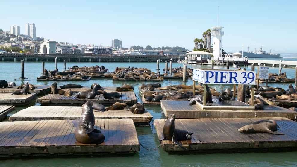 Das weltberühmte Pier 39 in San Francisco