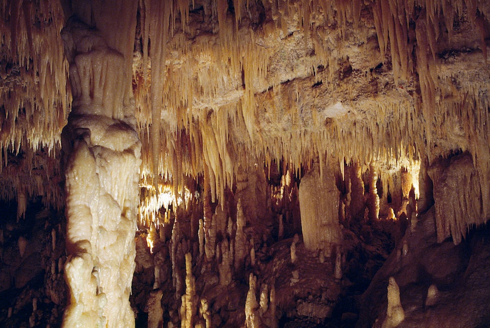 Die Tropfsteinhöhle in Castellana ist ein etwa 90 Millionen Jahre altes Naturwunder