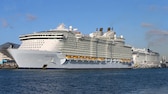 Kreuzfahrtschiff „Oasis of the Seas“