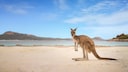 Australien