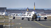 Viele Maschinen am Boden am Frankfurter Flughafen