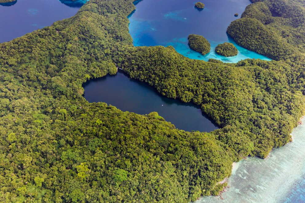 Jellyfish Lake, Palau