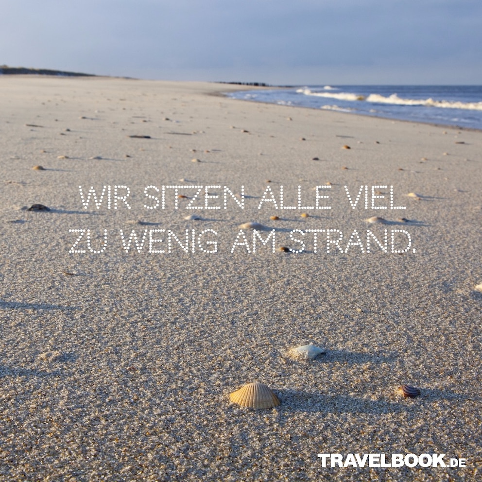 Reisesprüche- und Zitate