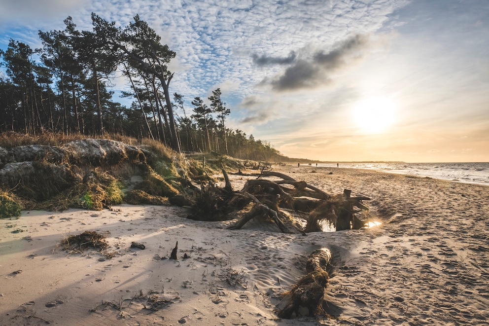 Fischland-Darß-Zingst in Mecklenburg-Vorpommern