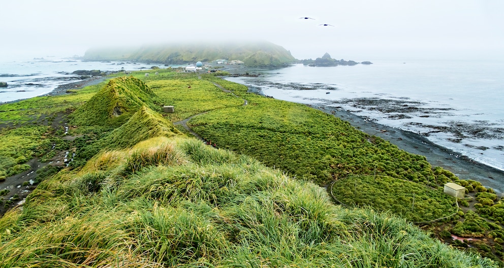 Macquarie Island