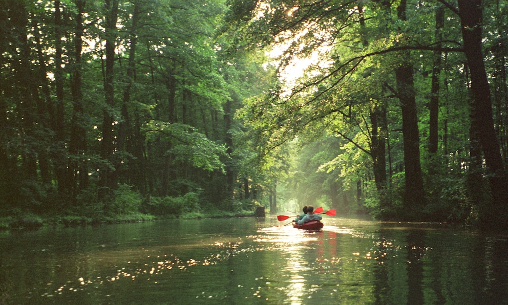 Urlaub in Deutschland, Reiseziele: Im Spreewald kann man wunderbar Kanu fahren
