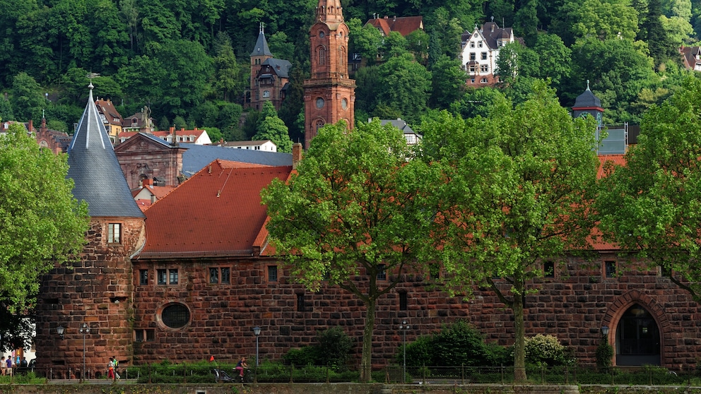 Die Universität von Heidelberg