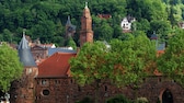 Die Universität von Heidelberg