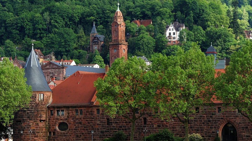 Die Universität von Heidelberg