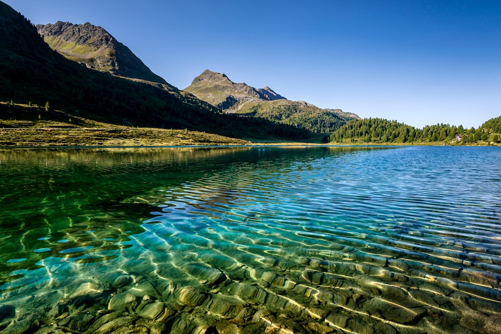 Klares Wasser im Obersee im Defereggental