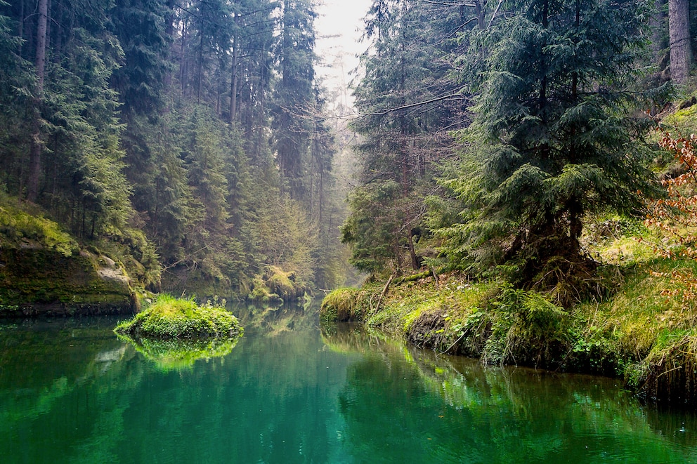 Sächsische Schweiz