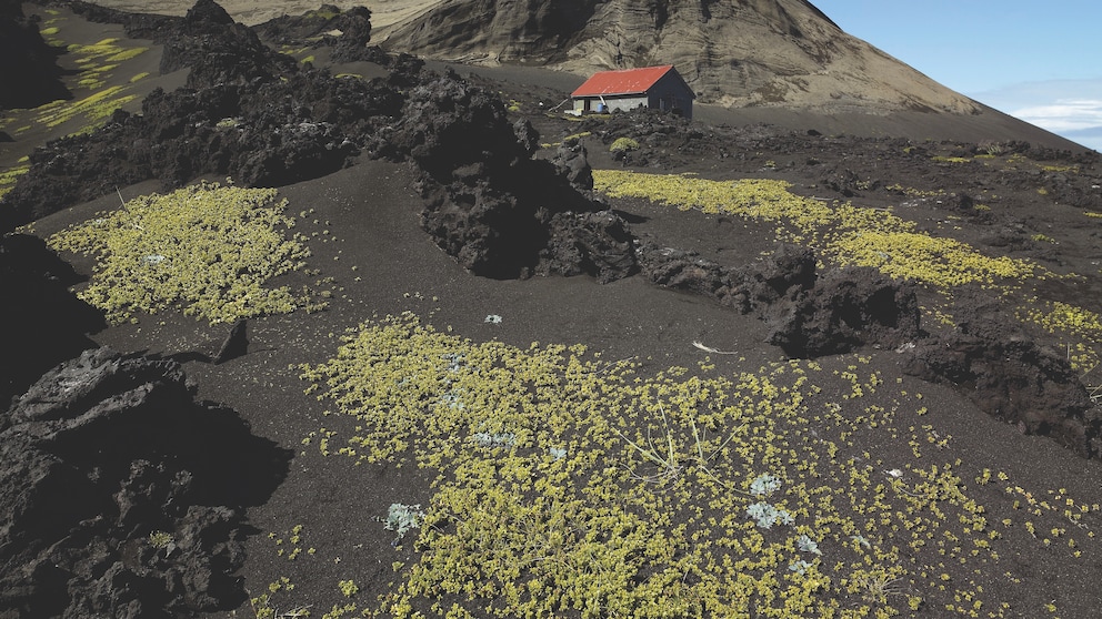 Surtsey
