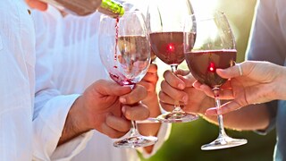 Reisen & Reben: Urlaubsfeeling im Glas! Entdecken Sie sehenswerte Weinregionen in aller Welt