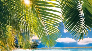 Ohne Flugzeit in den Südseeurlaub: Tropical Islands - die Tropen in Deutschland - als Reisealternative!