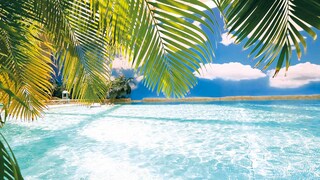 Ohne Flugzeit in den Südseeurlaub: Tropical Islands - die Tropen in Deutschland - als Reisealternative!