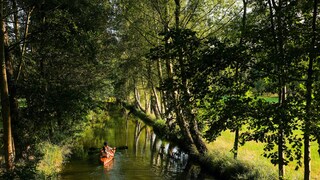 Paddeltour Spreewald