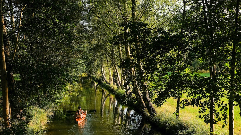 Paddeltour Spreewald