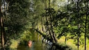 Paddeltour Spreewald