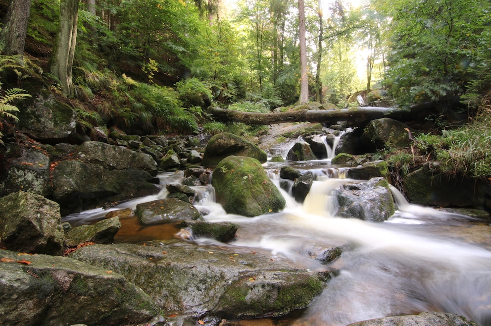 Ilsetal Harz