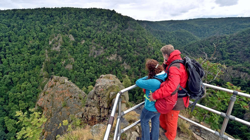 Harz wandern