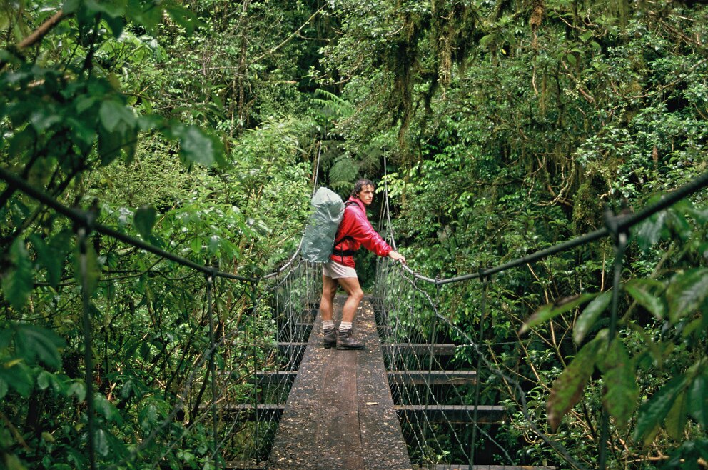  Wanderung &uuml;ber H&auml;ngebr&uuml;cken und durch Regenw&auml;lder &ndash; der beliebte Milford Track im Fjordland-Nationalpark auf der S&uuml;dinsel Neuseelands