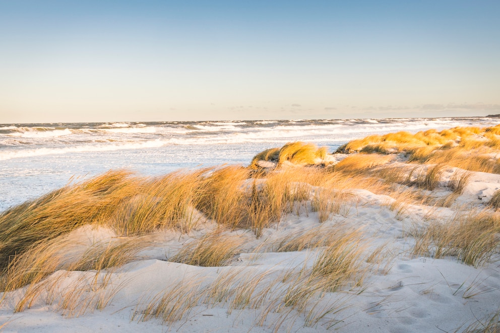 Der Strand von Prerow landet auf Platz 2!