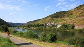 Entlang der Mosel führen viele Radwege – ideal für eine längere Tour