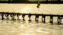 Auch im Dümmer See in Niedersachsen wurden Blaualgen nachgewiesen