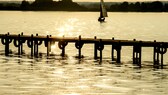 Auch im Dümmer See in Niedersachsen wurden Blaualgen nachgewiesen