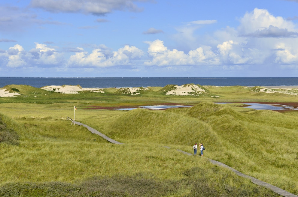 Dünenlandschaft Amrum