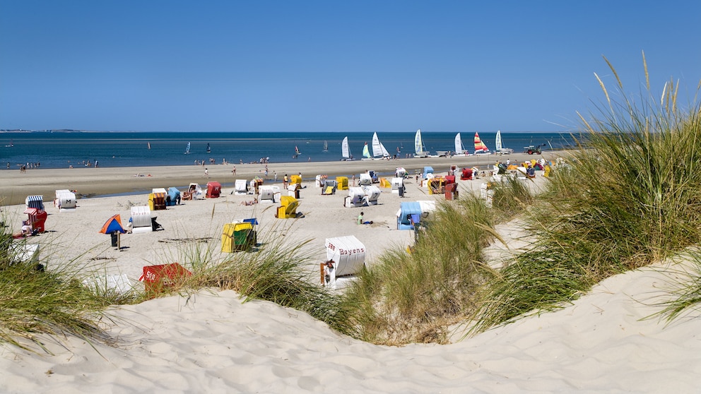 Amrum Strand