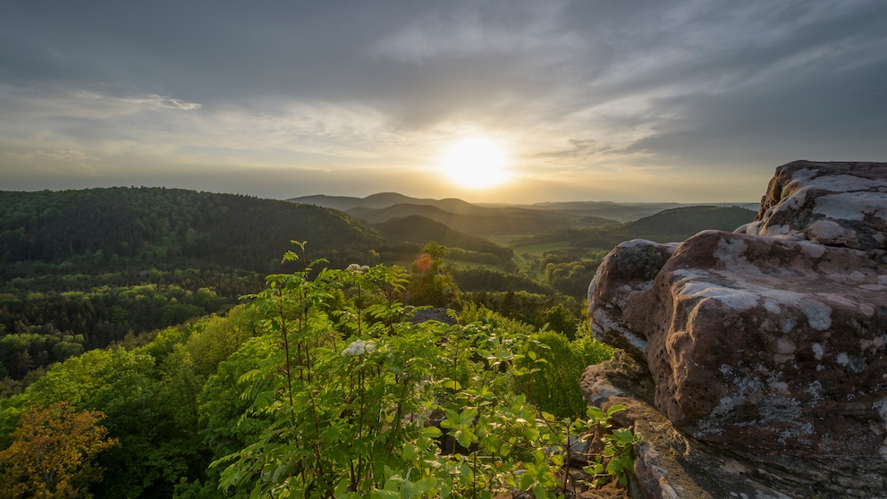 Idylle pur: Ein fantastischer Ausblick über den Pfälzerwald