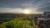 Idylle pur: Ein fantastischer Ausblick über den Pfälzerwald