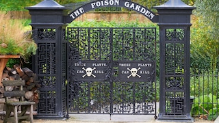 Alnwick Garden