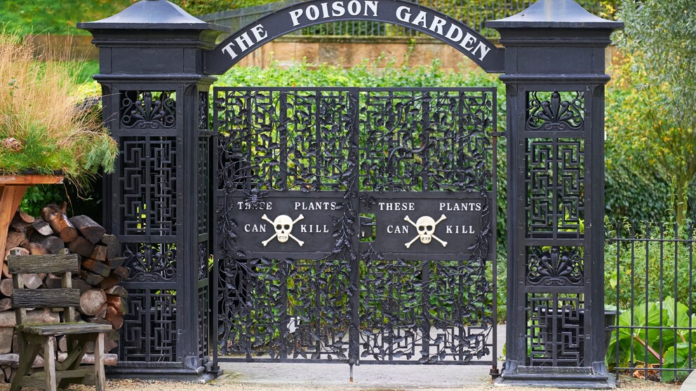Alnwick Garden