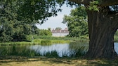 Der Wörlitzer Park zählt seit 2000 zum Welterbe der Unesco