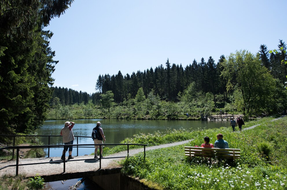 Liebesbankweg im Harz