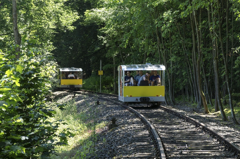 Eine gelbe Draisine fährt durch den Wald