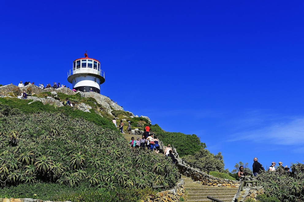 Aussichtspunkt mit Leuchtturm, Cape Point, Kap der Guten Hoffnung